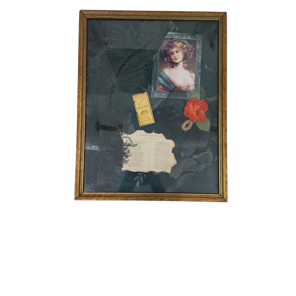 Antique Solid Wood  Framed Lace Feather Fabric Flower Ephemera 12.5"x16"